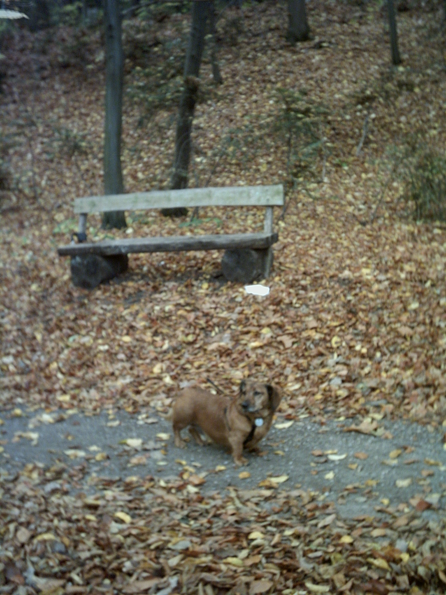 PICT0016.JPG