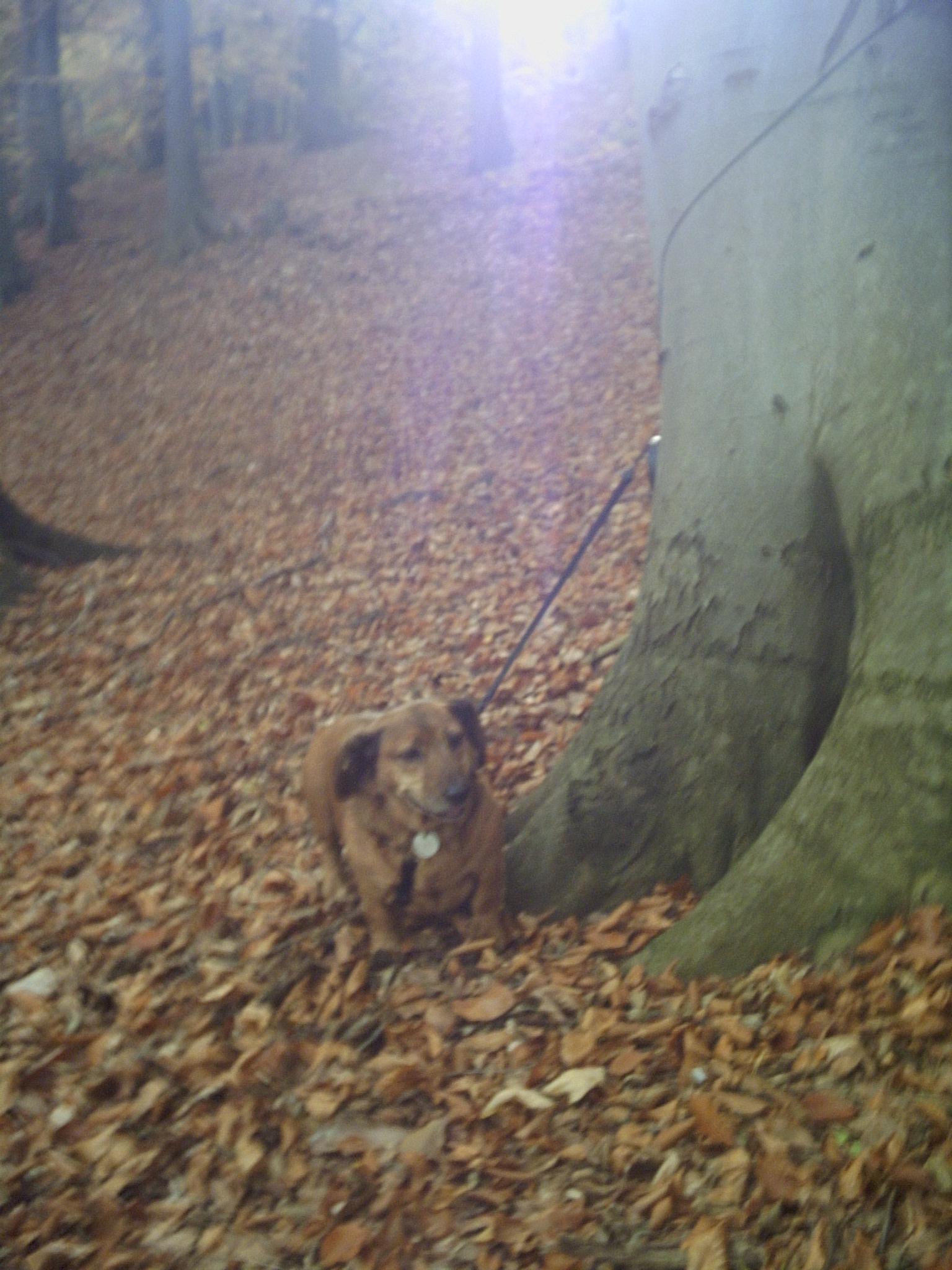 PICT0020.JPG